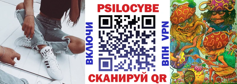 кракен как войти Ельня Псилоцибиновые грибы Psilocybe